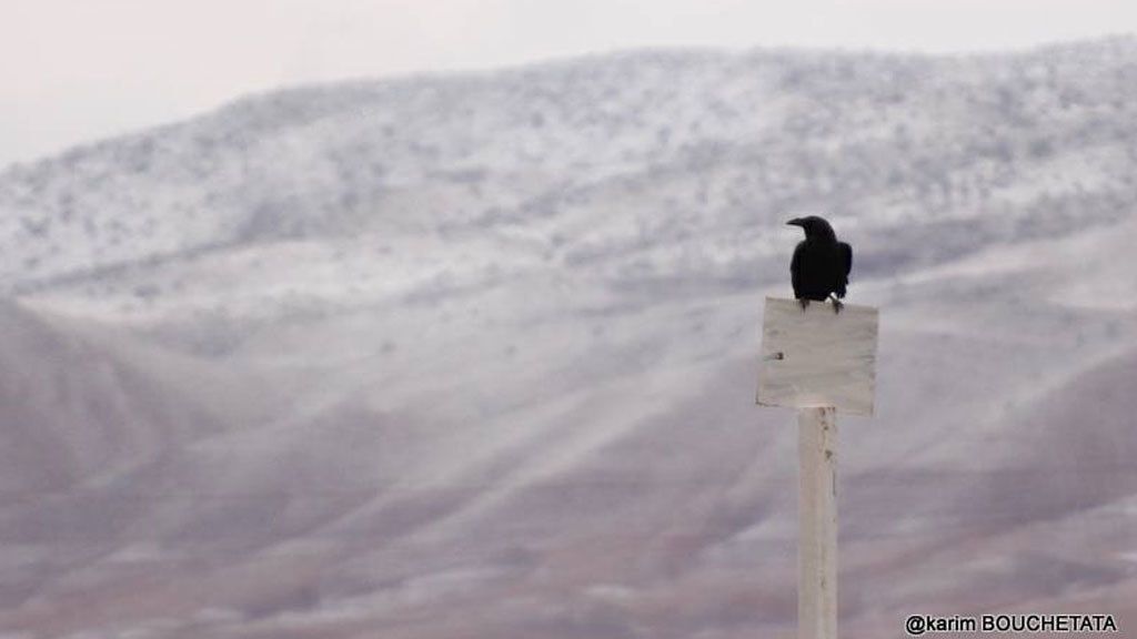 Ha sido la tercera vez que sucede en 40 años