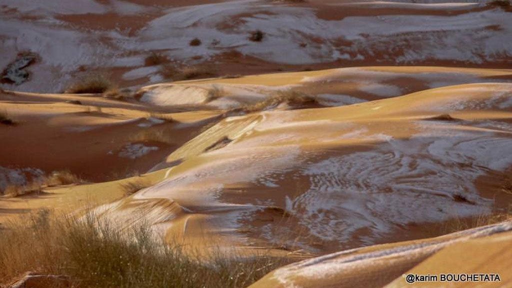 "Cuajó todo el día domingo y luego comenzó a derretirse", añadió