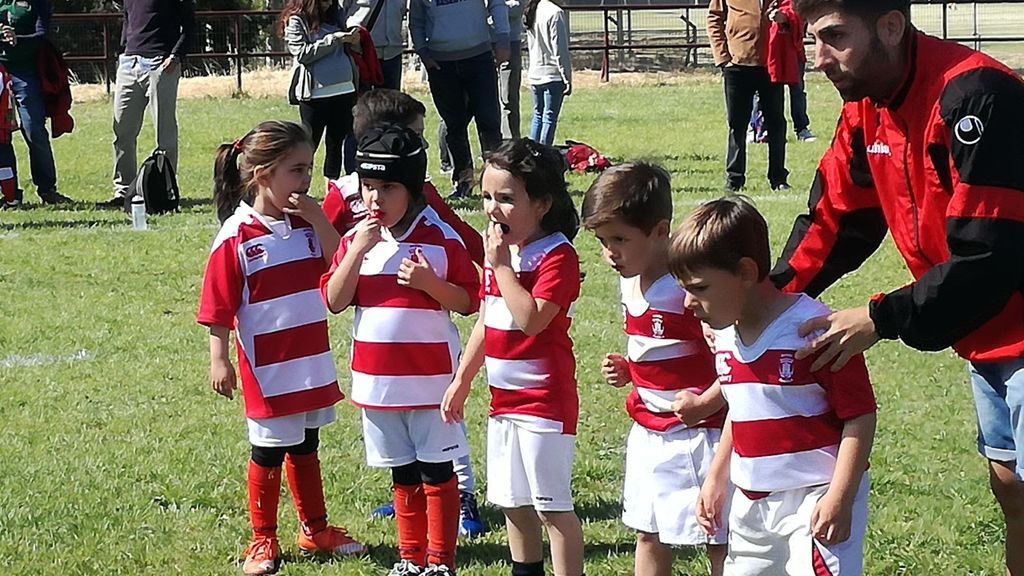 rugby