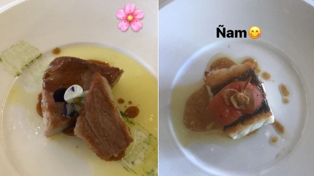 platos