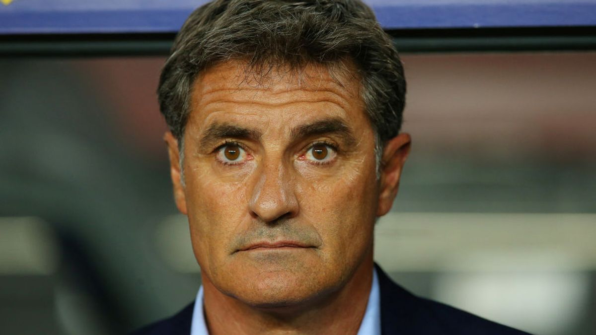 Míchel, destituido como entrenador del Málaga