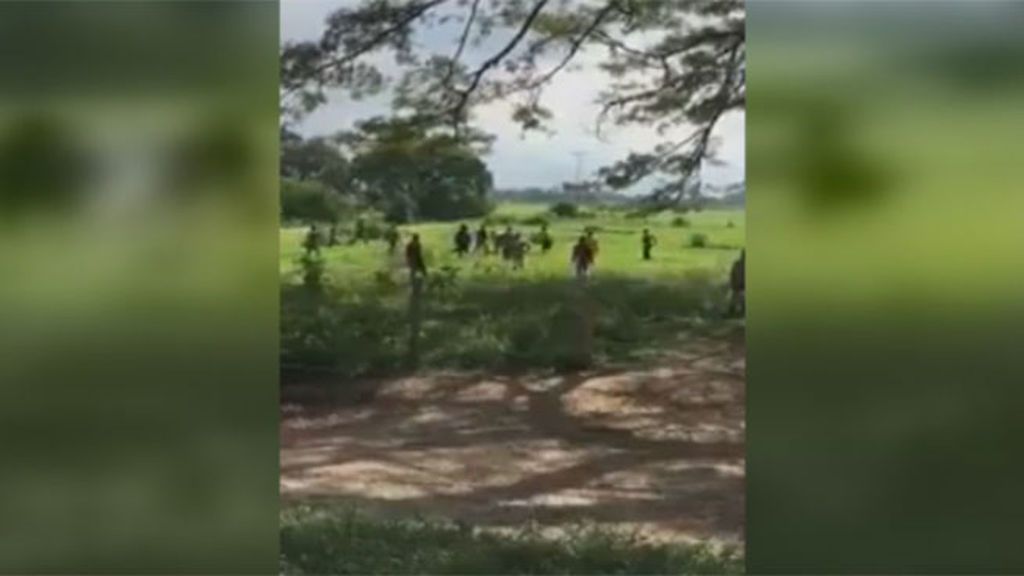 Matan a pedradas a una vaca para comérsela en Venezuela