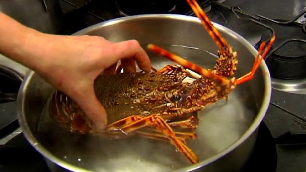 Suiza prohíbe hervir vivos a los crustáceos
