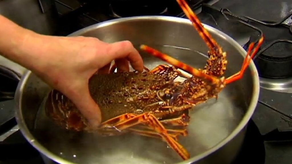 Suiza prohíbe hervir vivos a los crustáceos