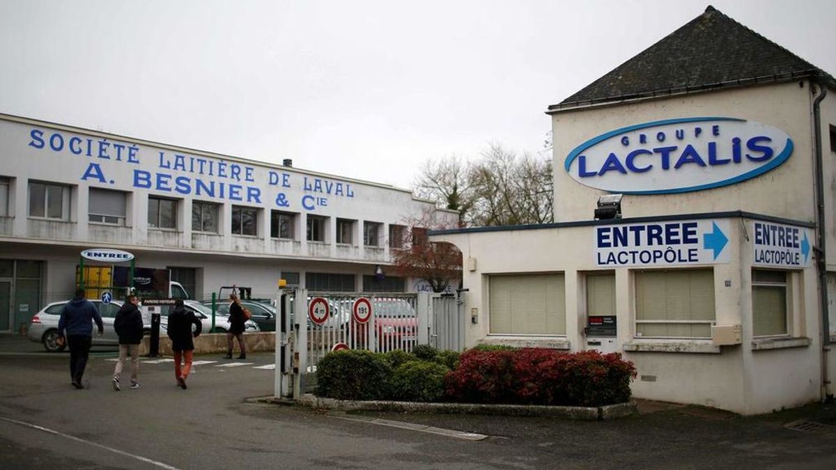 lactalis