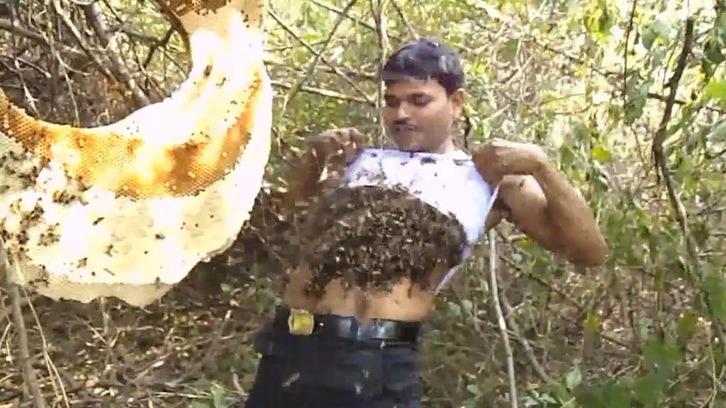 El peligroso truco de un apicultor indio para poder recolectar miel