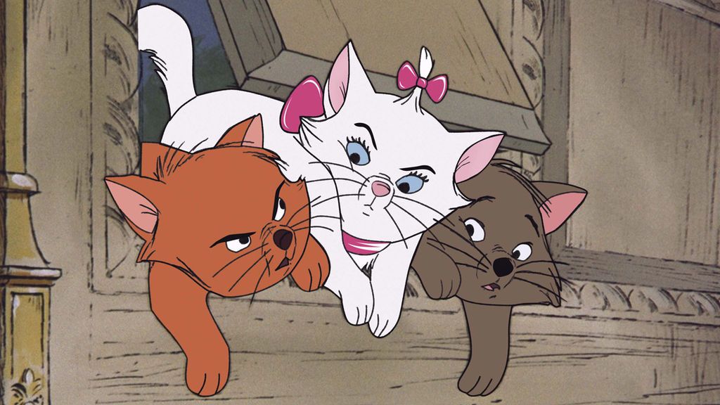 Lo reconozco: quiero más a los gatos que a las personas 😻