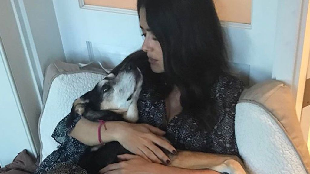 La triste despedida de Salma Hayek a su perra Lupe: "No tengo lágrimas que describan lo que fue para mí"