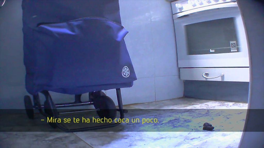 Excrementos de animales, espacios pequeños, ventanas peligrosas: los peligros de dejar a tu hijo con una 'madre de día'