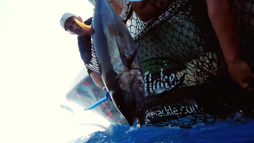 ¡Impresionante! Kike Calleja y Adrián pescan (sin muerte) un atún de más de 30 kilos