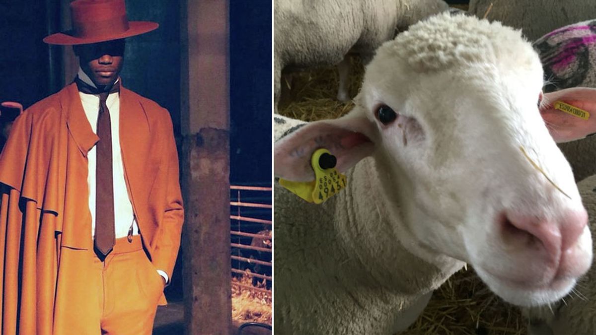 Oteyza inaugura la Fashion Week Madrid con ¡50 ovejas merinas en el 'frontrow' en lugar de famosos!