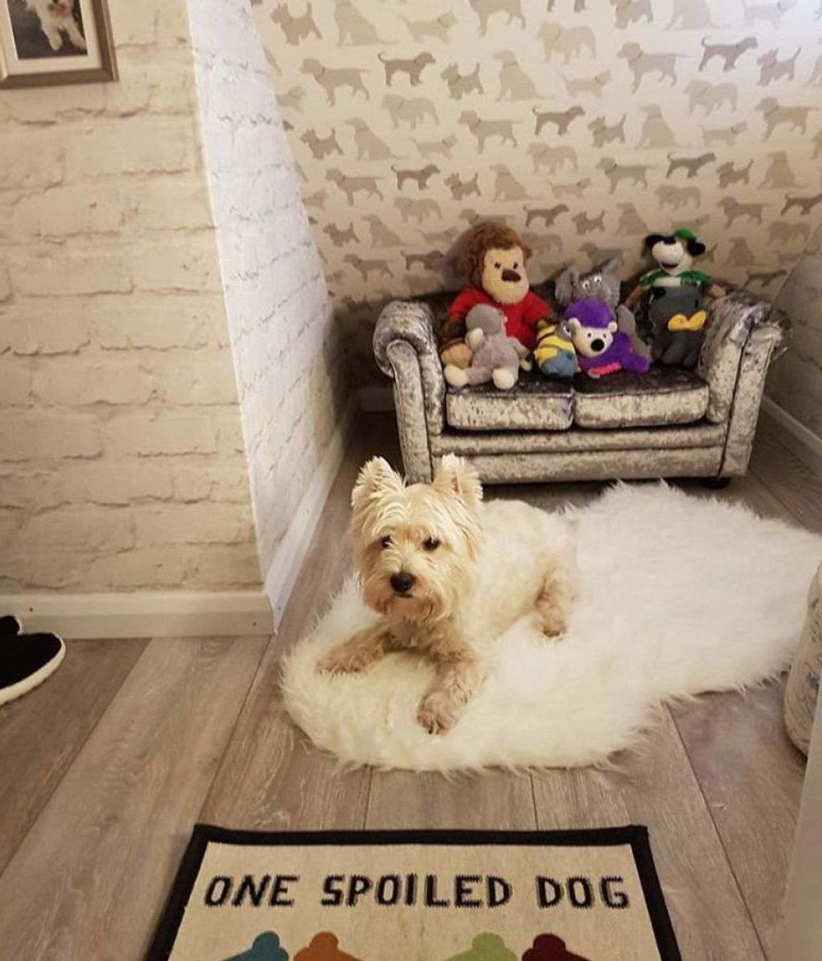 Le hace una habitación a su perro para que se sienta como uno más de la familia tras nacer su hijo