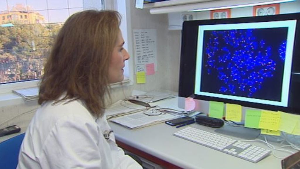 Investigadores españoles curan la fibrosis pulmonar en ratones