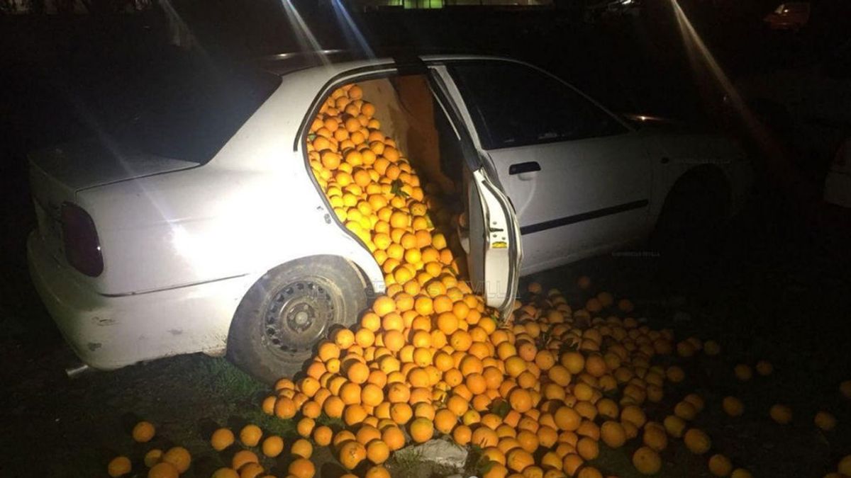 Detienen a cinco personas que llevaban 4.000 kilos de naranjas en un coche..."para consumo propio"