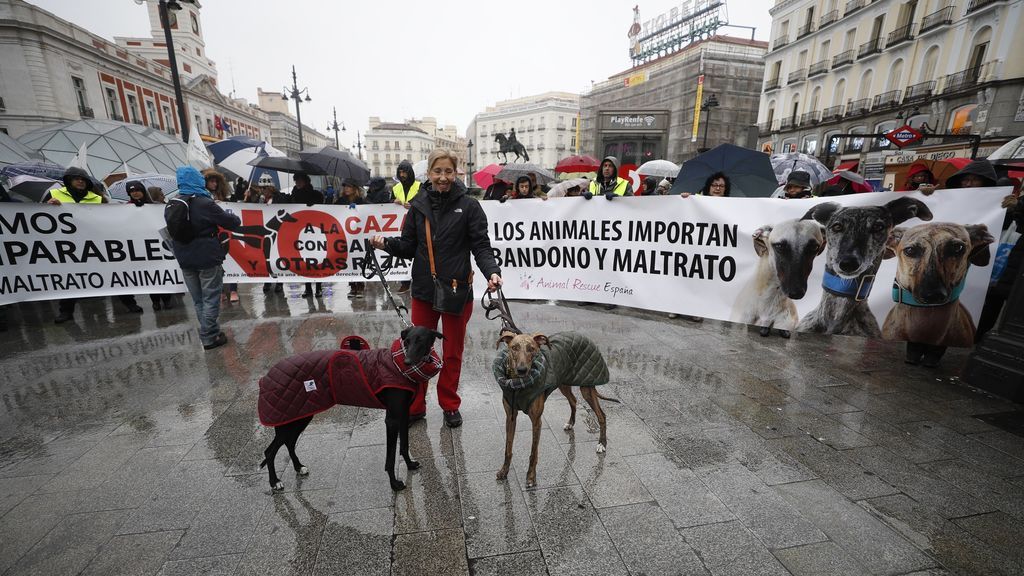 Marchas por toda España en contra de la caza con galgos y otras razas