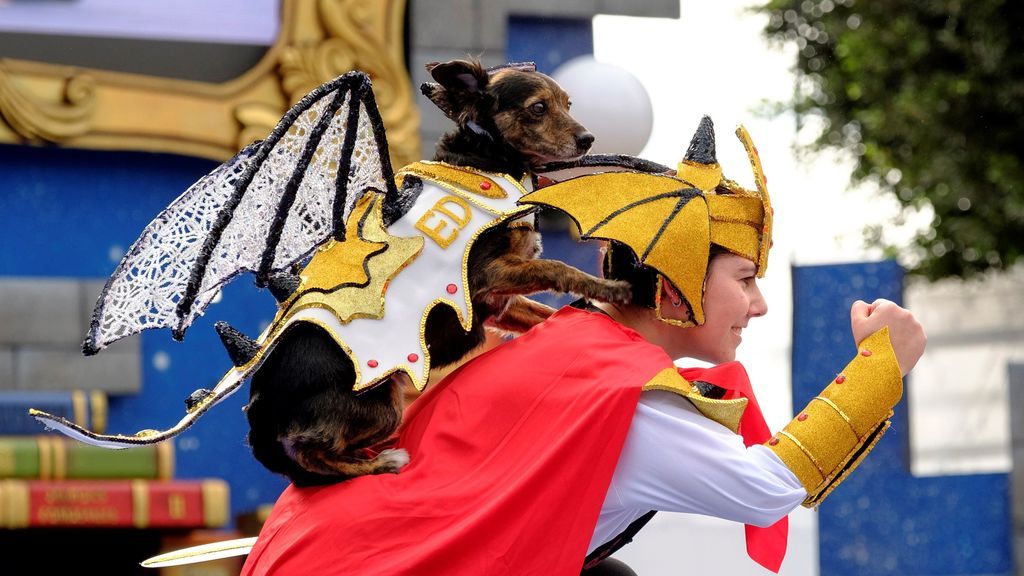 Perros dragones, mariposas y chihuahuas pirata en el Carnaval canino de Las Palmas
