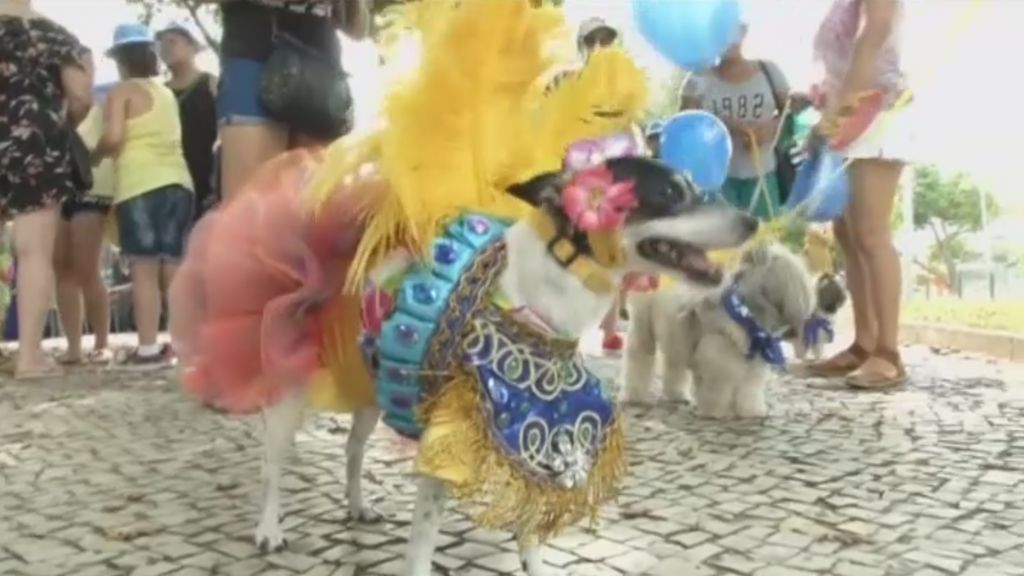 Los disfraces caninos se adueñan del Carnaval de Río por un día