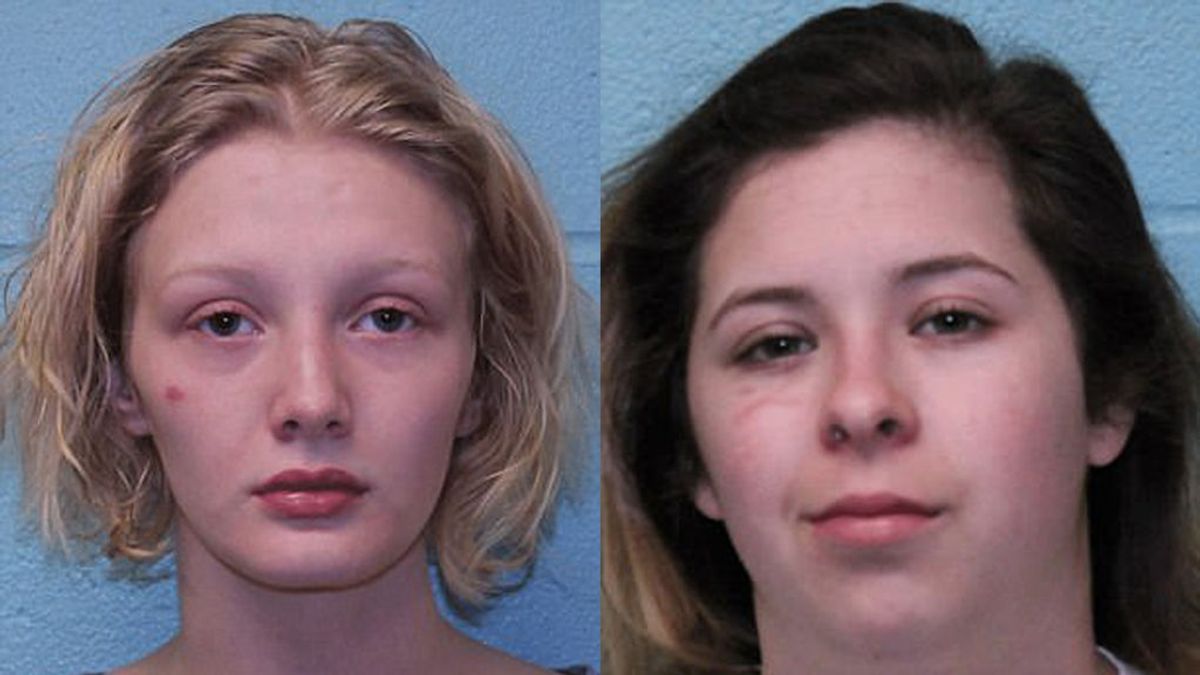 Detenidas dos jóvenes por irrumpir en la casa de una compañera, matar a sus mascotas e incendiar su coche