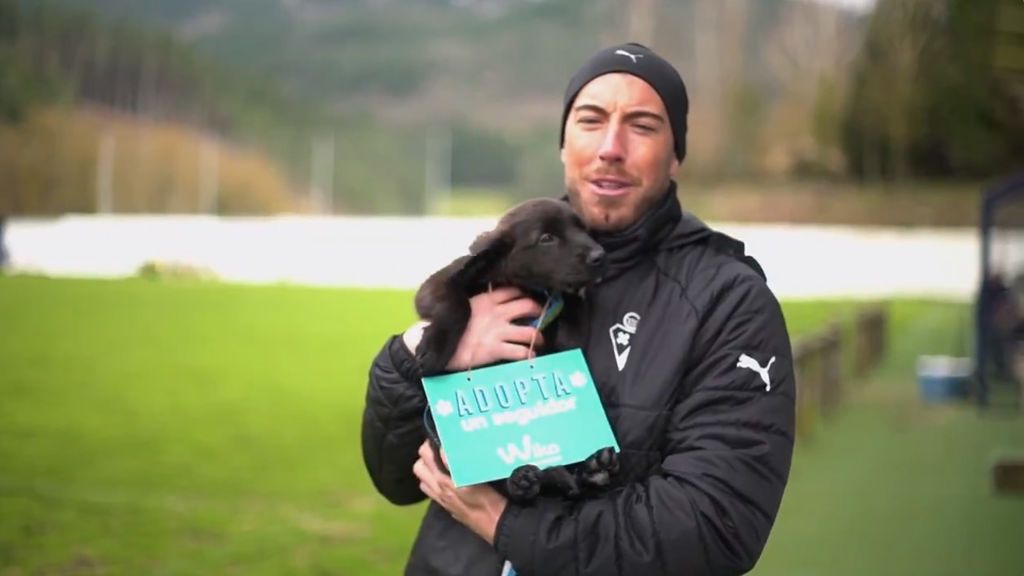 El Eibar llamará a su afición a adoptar perros en su encuentro contra el FC Barcelona