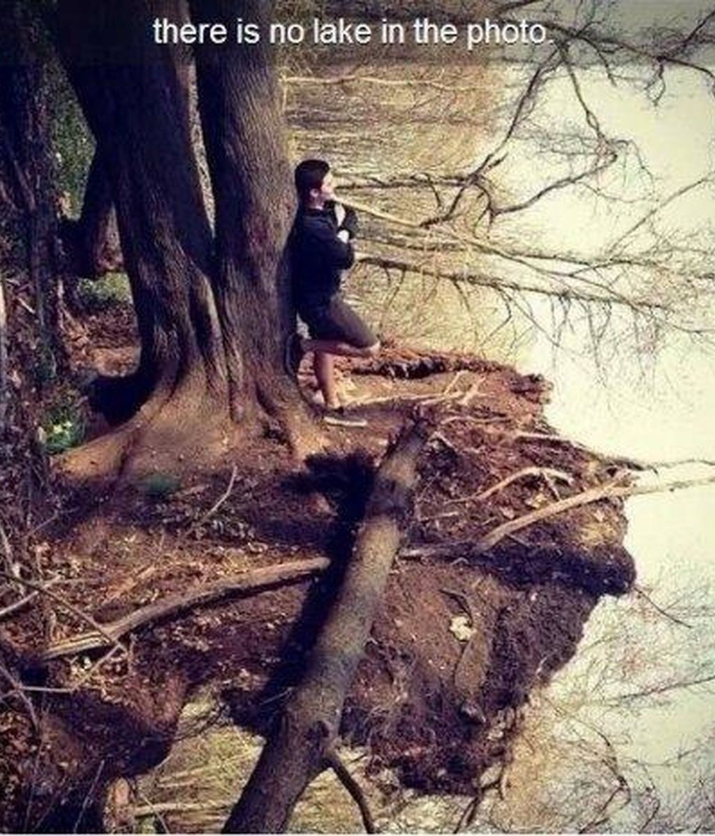 ¡Mira dos veces!: divertidas ilusiones ópticas