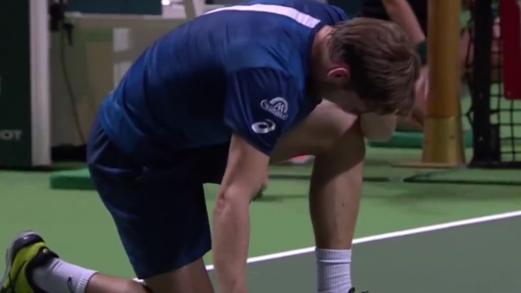 Goffin se retira del torneo de Rotterdam por un pelotazo en el ojo