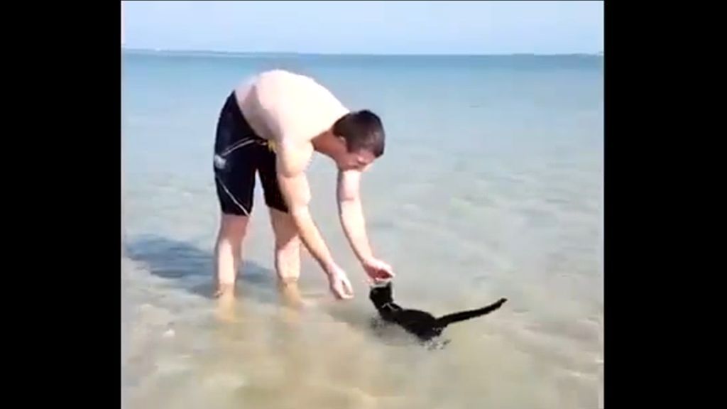 Esto sí que es llevarse el gato al agua