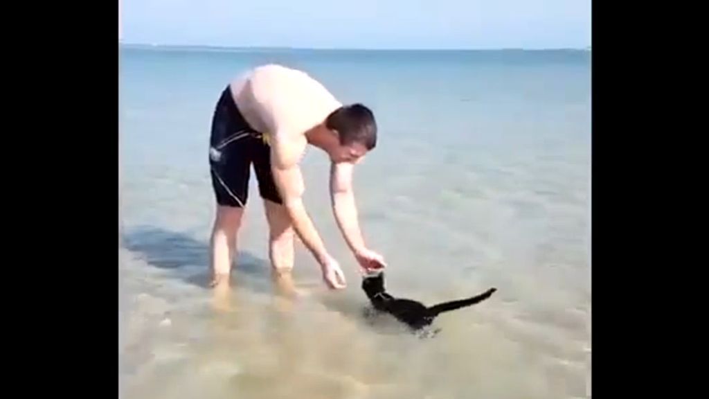 Esto sí que es llevarse el gato al agua