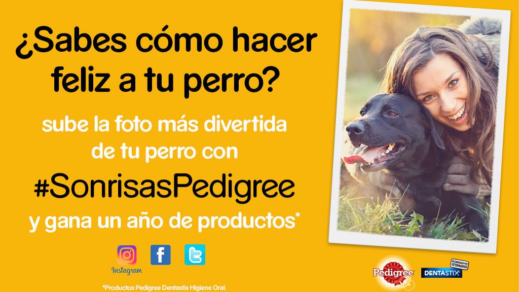 pedigree pedigree