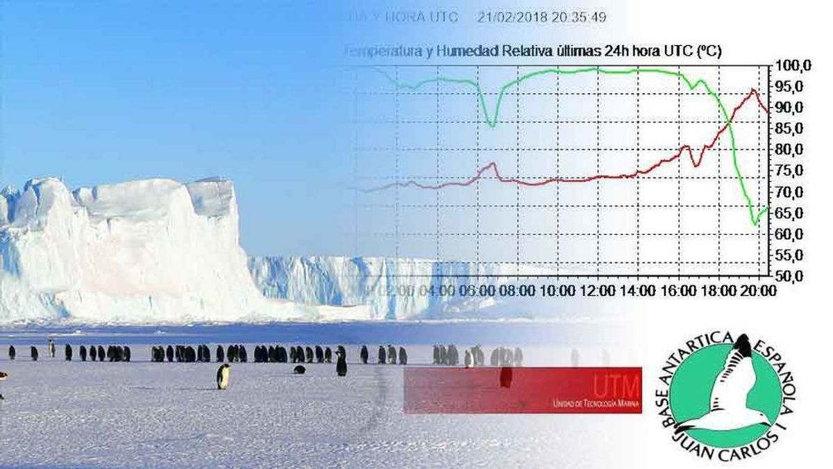 Récord histórico de temperatura en la Antártida: ¡10,3 grados!