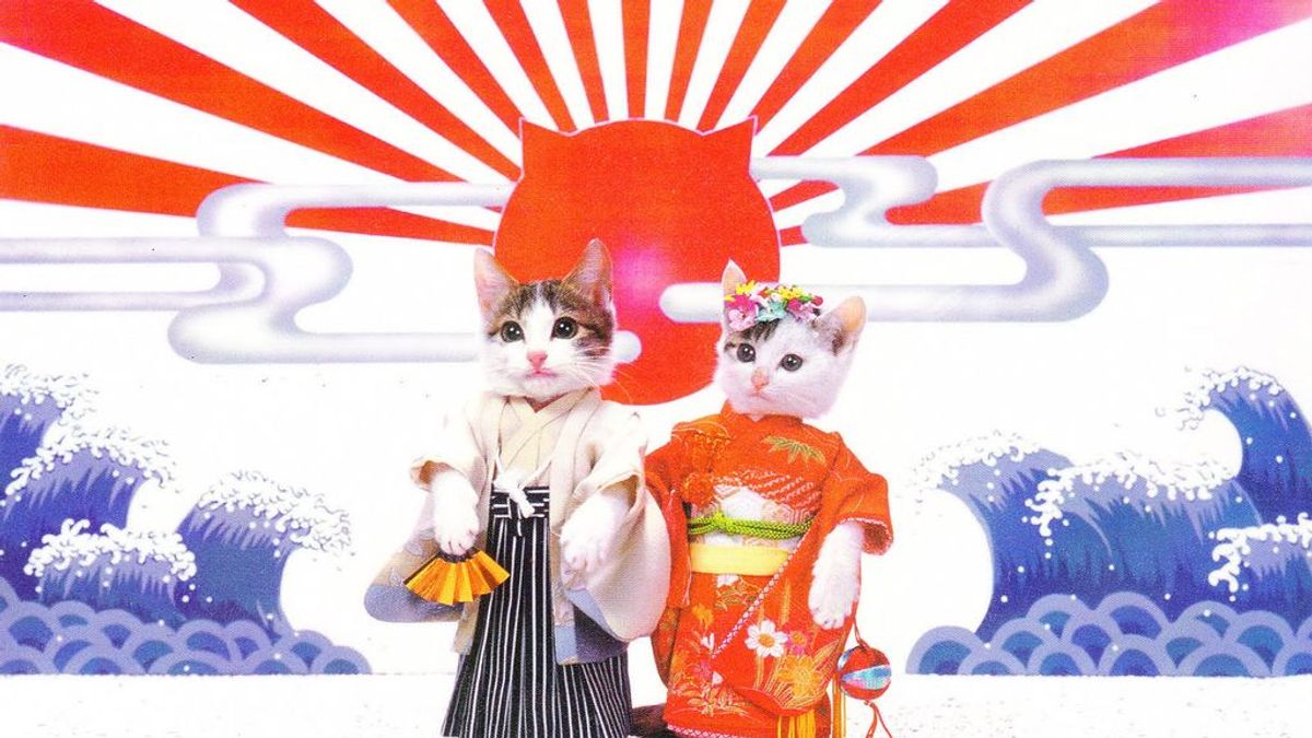 5 razones por las que tienes que dejarlo todo e irte a vivir a Japón (si te gustan los gatos)