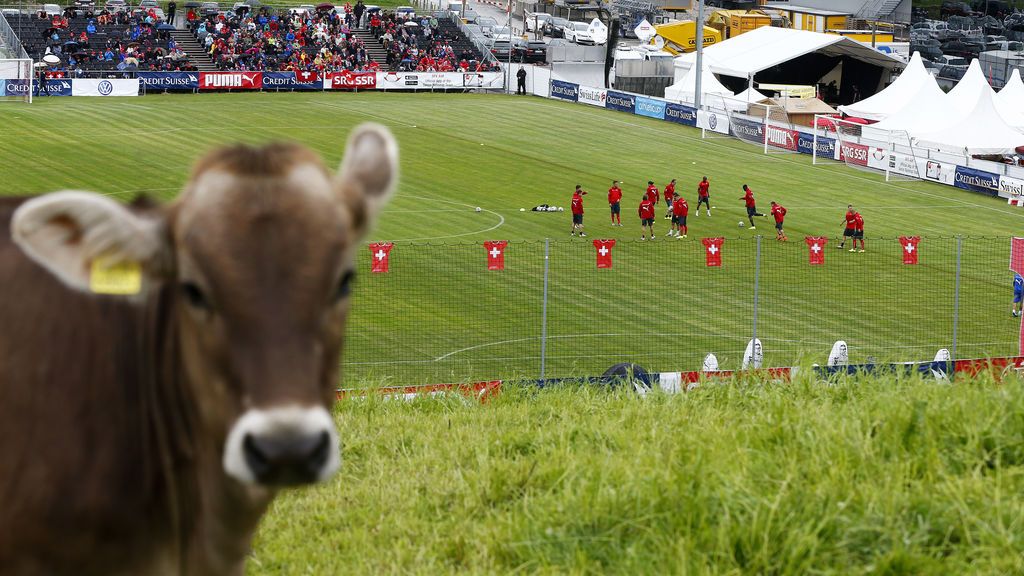 Un equipo se queda sin sus tres porteros después de que el tercero fuera lesionado... ¡Por una vaca!