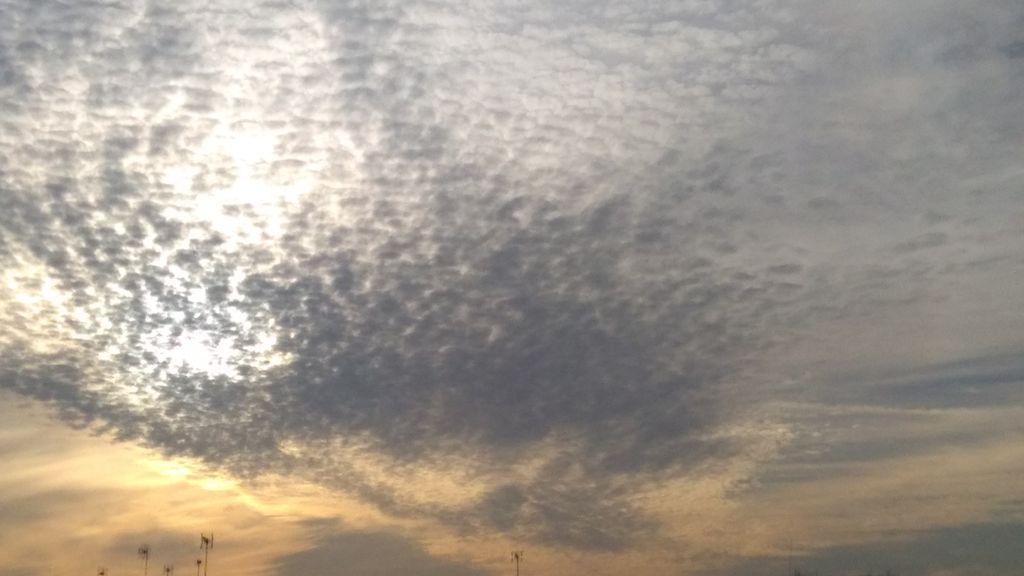 Alicia Fernández Ocaña en Sevilla