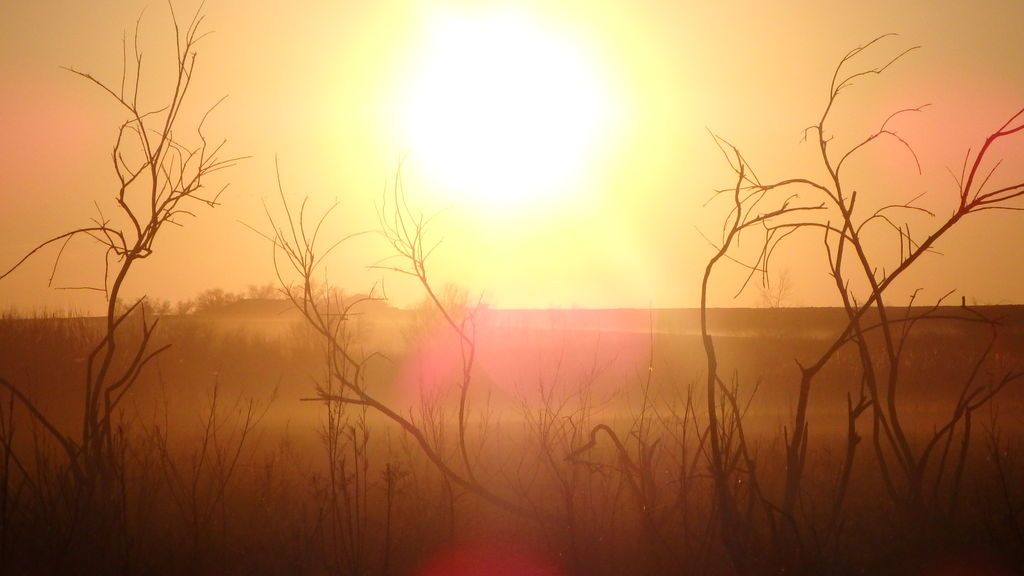 Jose Ignacio Santos Gutiérrez en Fuente el Fresno, Ciudad Real