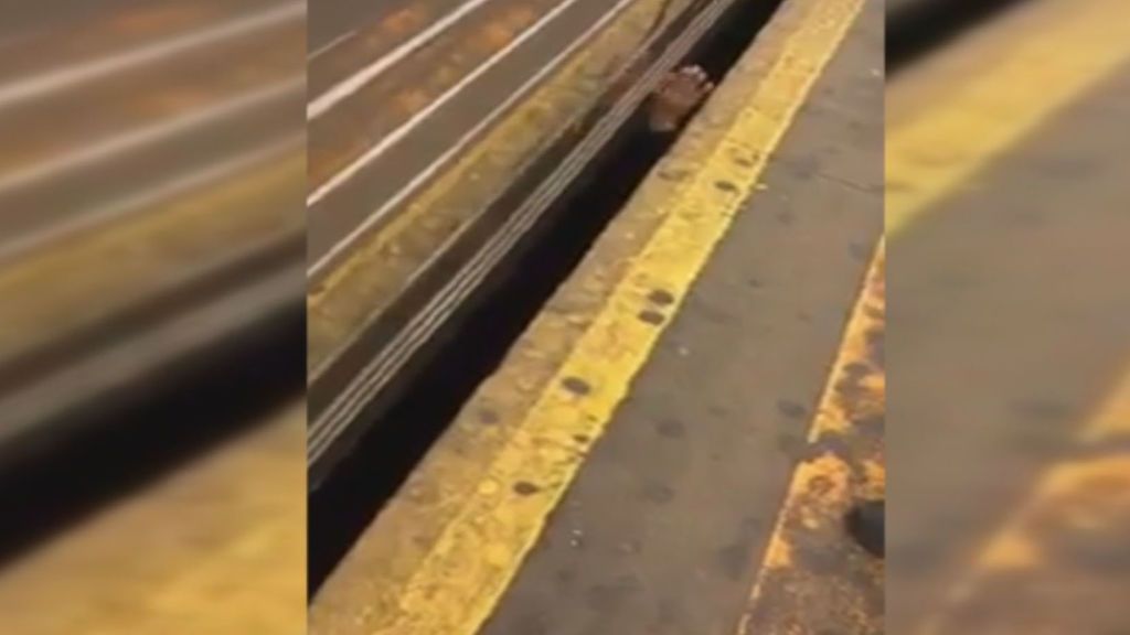 Susto en el metro de Nueva York: Un hombre aparece debajo del tren