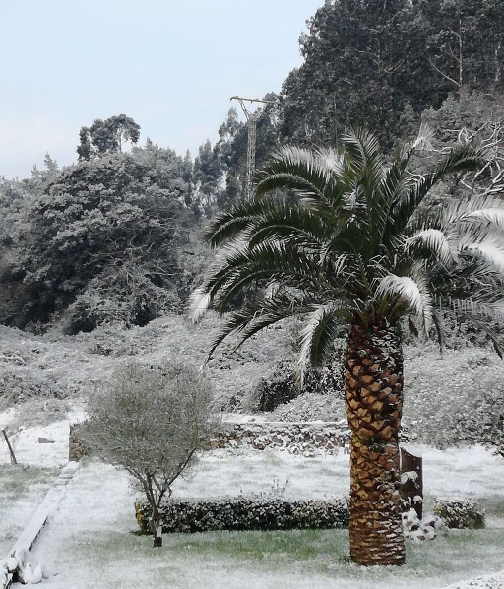 Laura Díez Fernández en Camargo, Cantabria