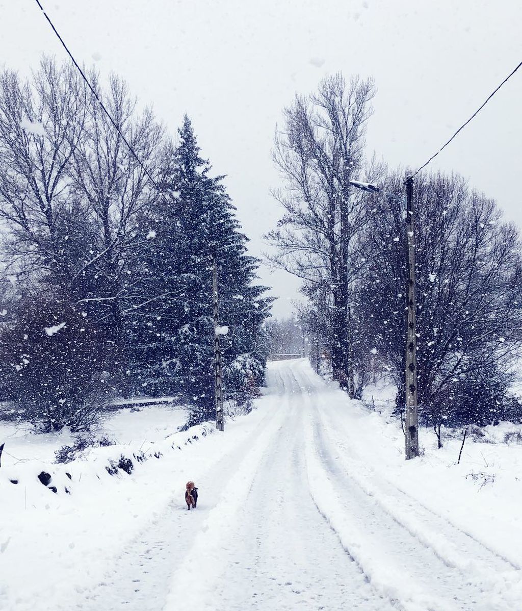 Amanda La Roca en Vime de Sanabria, Zamora