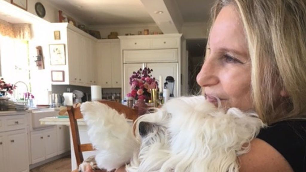 La mayor excentricidad de Barbra Streisand: sus cachorros han sido clonados con células de su perrita muerta
