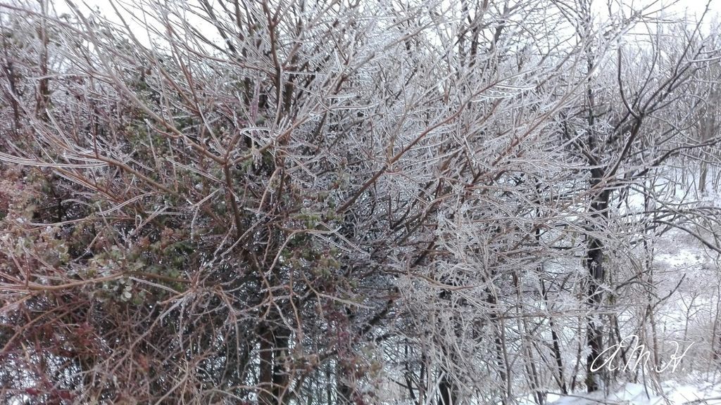 Ana María Herrero Rodríguez en Cantalpino, Salamanca