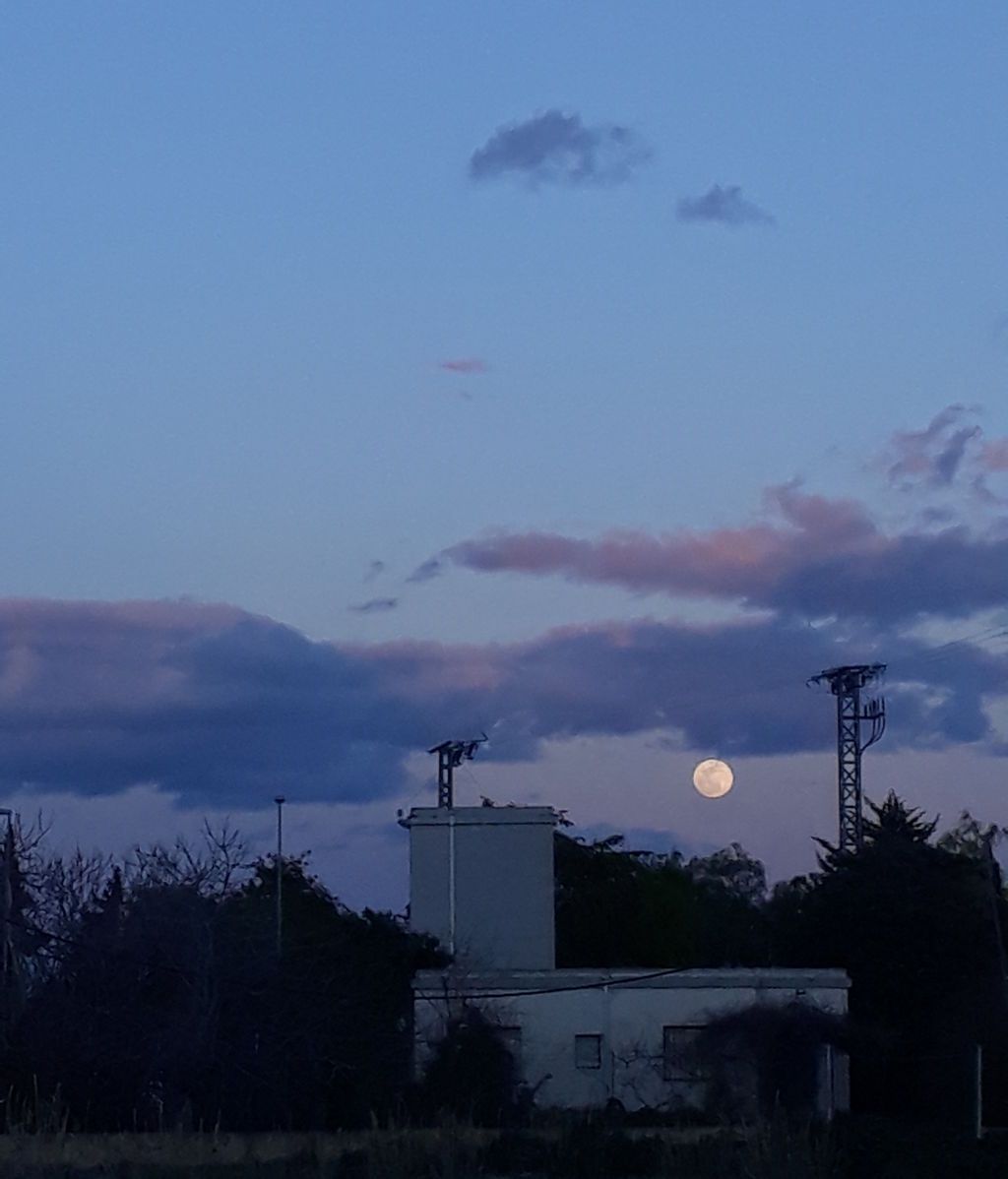 Beny Pacheco Herrero en Ceutí, Murcia