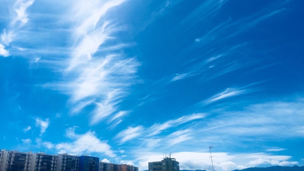 Diana del Mar Rodríguez Bruno en Las Palmas de Gran Canaria