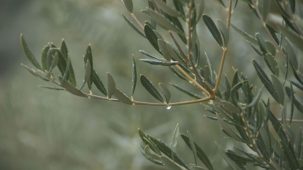 Eugenio González Muriel en Jaén