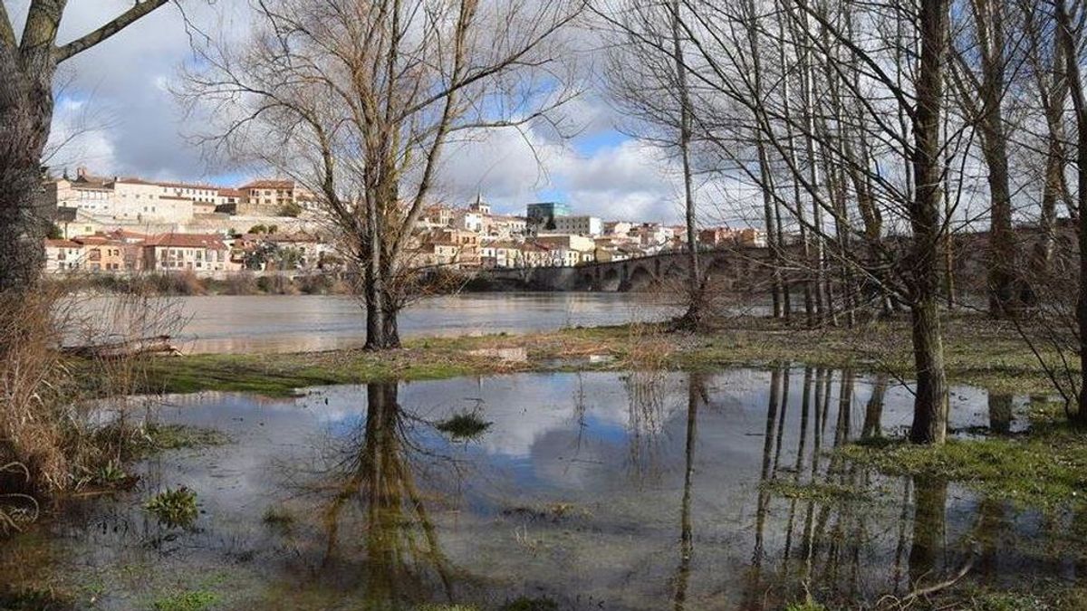 El Duero se desborda a su paso por Zamora gracias a las lluvias y el deshielo