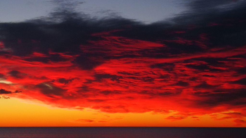 Ángel Miguel Navarro López en Los Arenales del Sol, Elche, Alicante