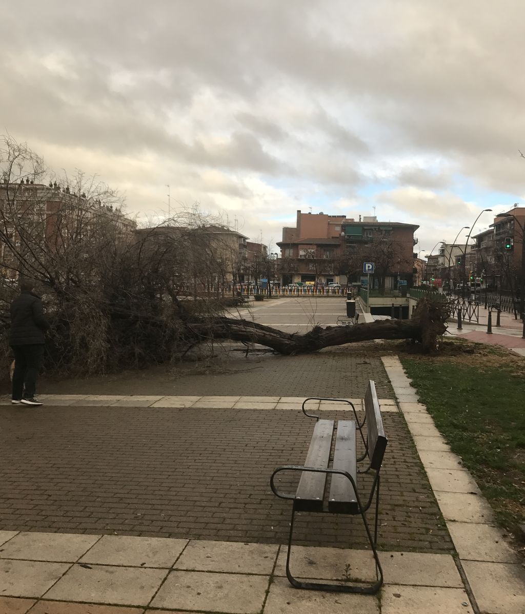 Alba Arencibia en Getafe, Madrid