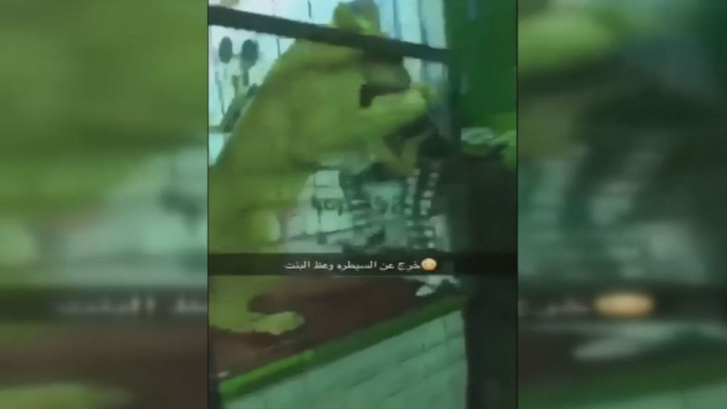 El violento ataque de un león a una niña durante un espectáculo en Arabia Saudí