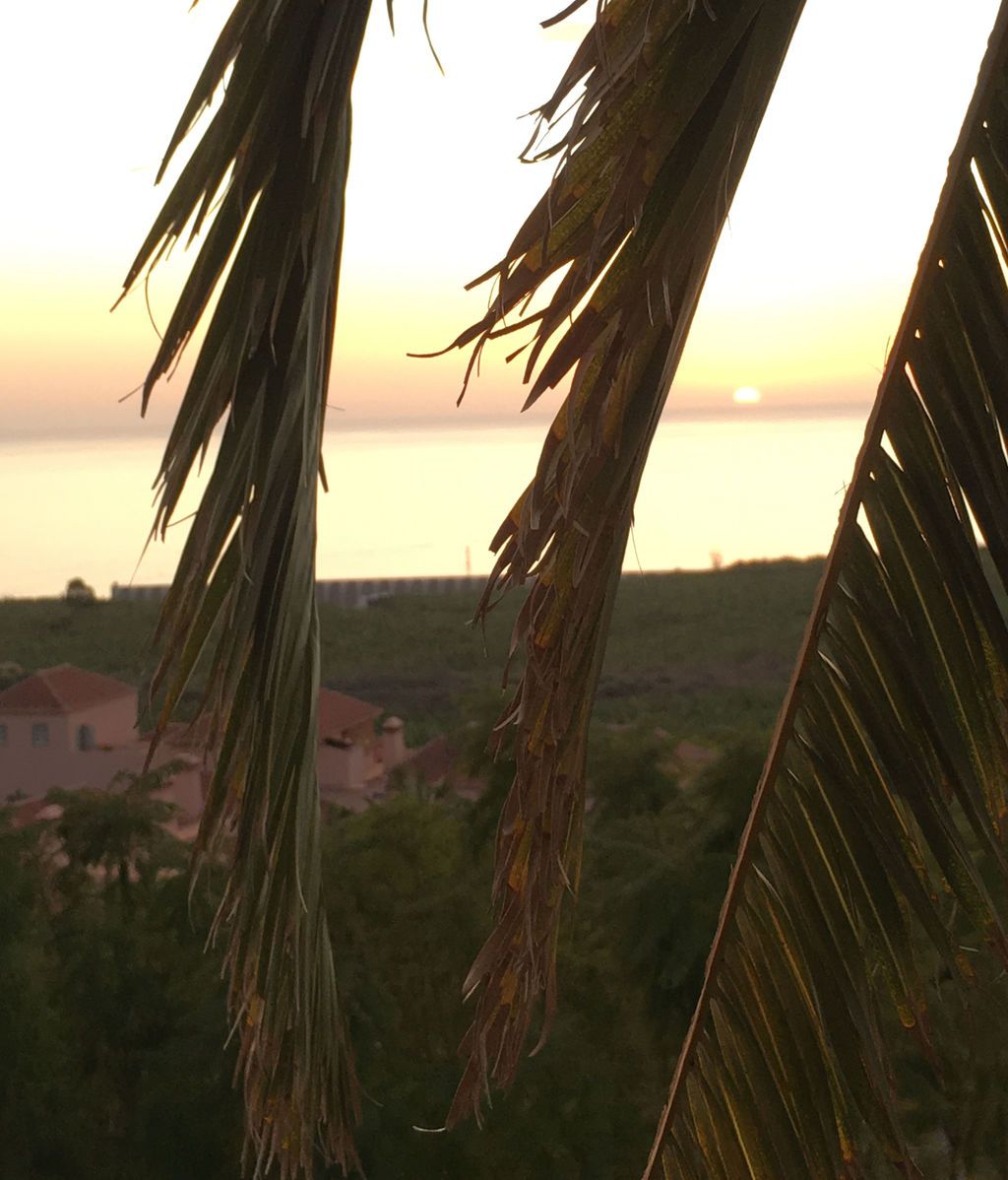Alexandru Ciobanu en Tazacorte, Santa Cruz de Tenerife