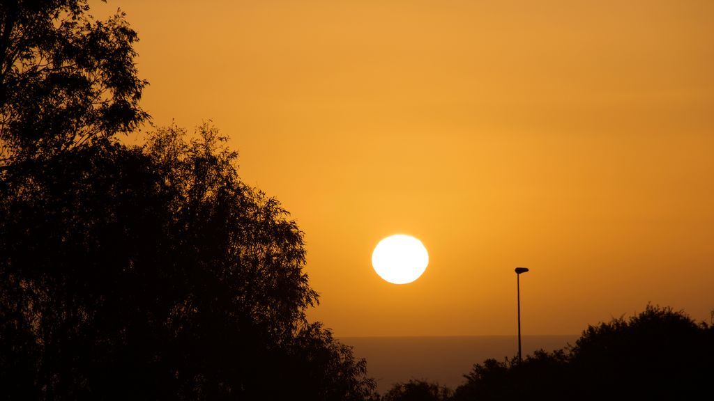 Juan José Alarcón Adalid en Fuengirola, Málaga