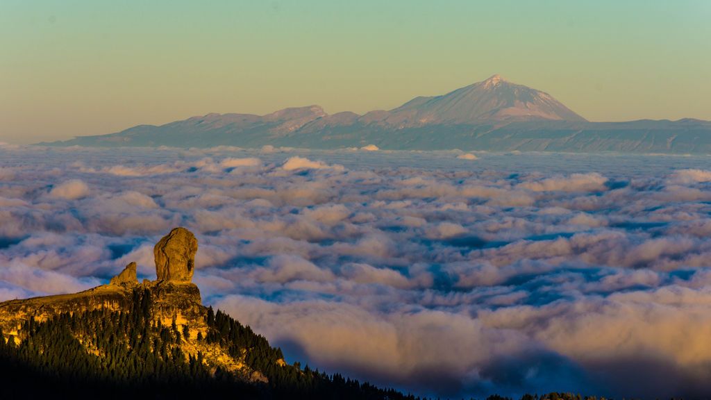 Federico Vega Molina en San Bartolomé de Tirajana, Las Palmas de Gran Canaria