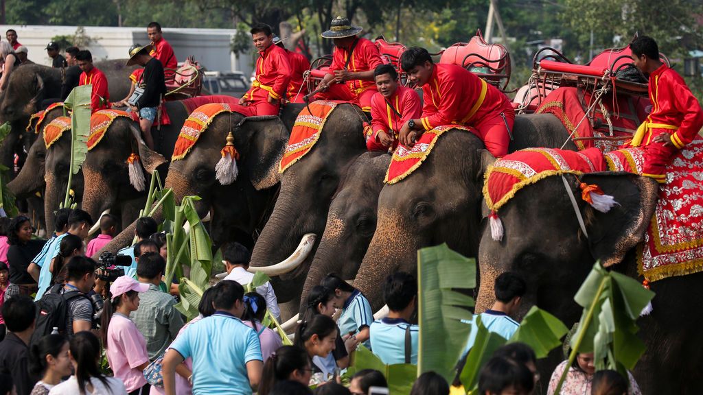 Tailandia celebra el día del elefante