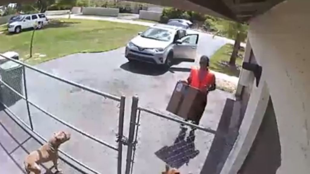 Despedido un repartidor por lanzar un paquete sobre un perro